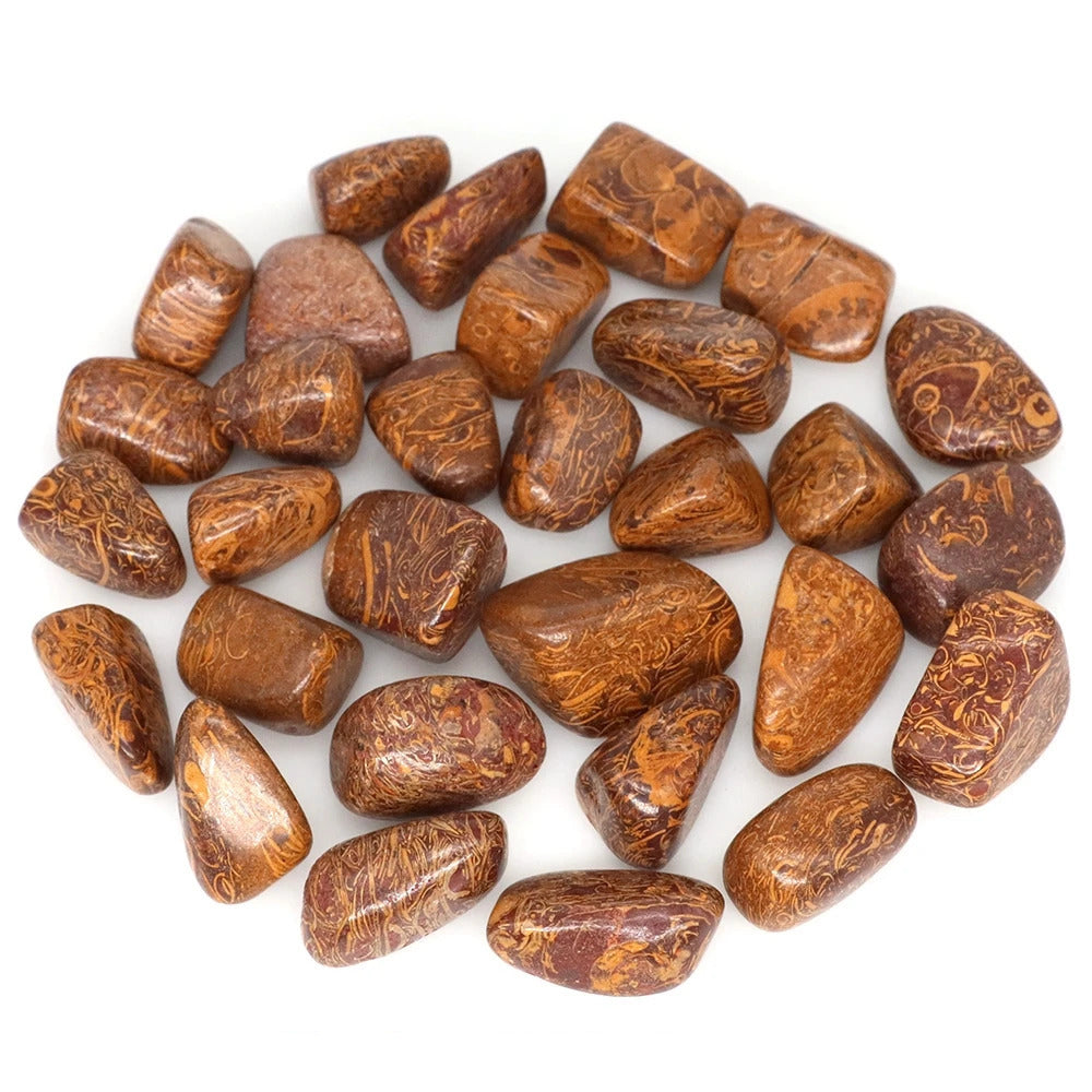 Coquina Jasper Polished Tumblestone