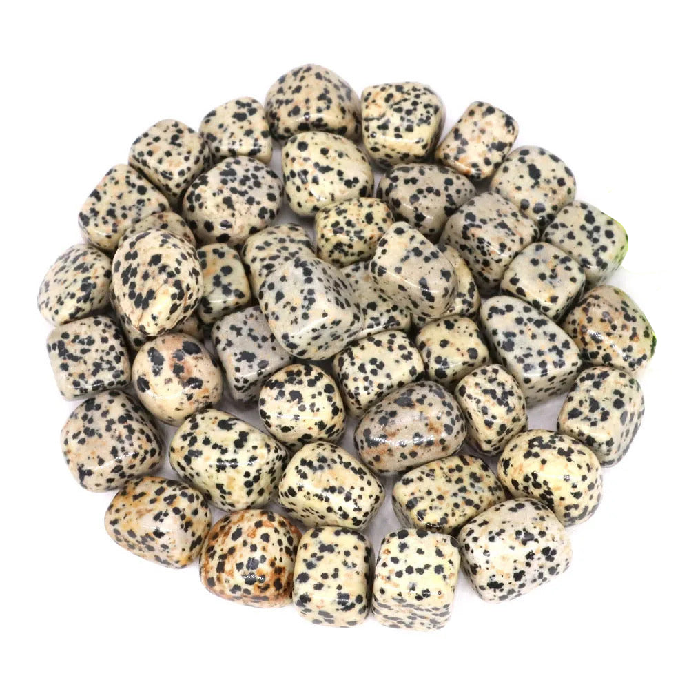 Dalmation Jasper Polished Tumblestone