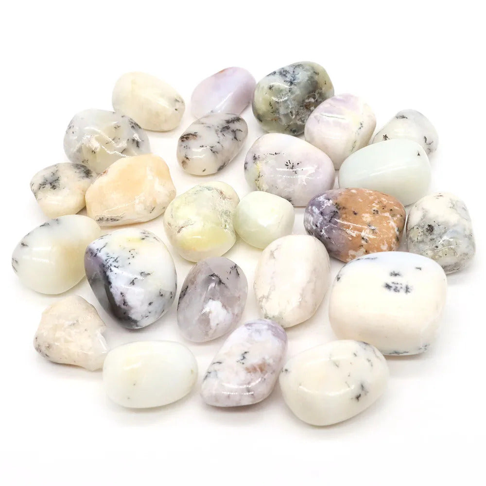 Dendritic Agate Polished Tumblestone