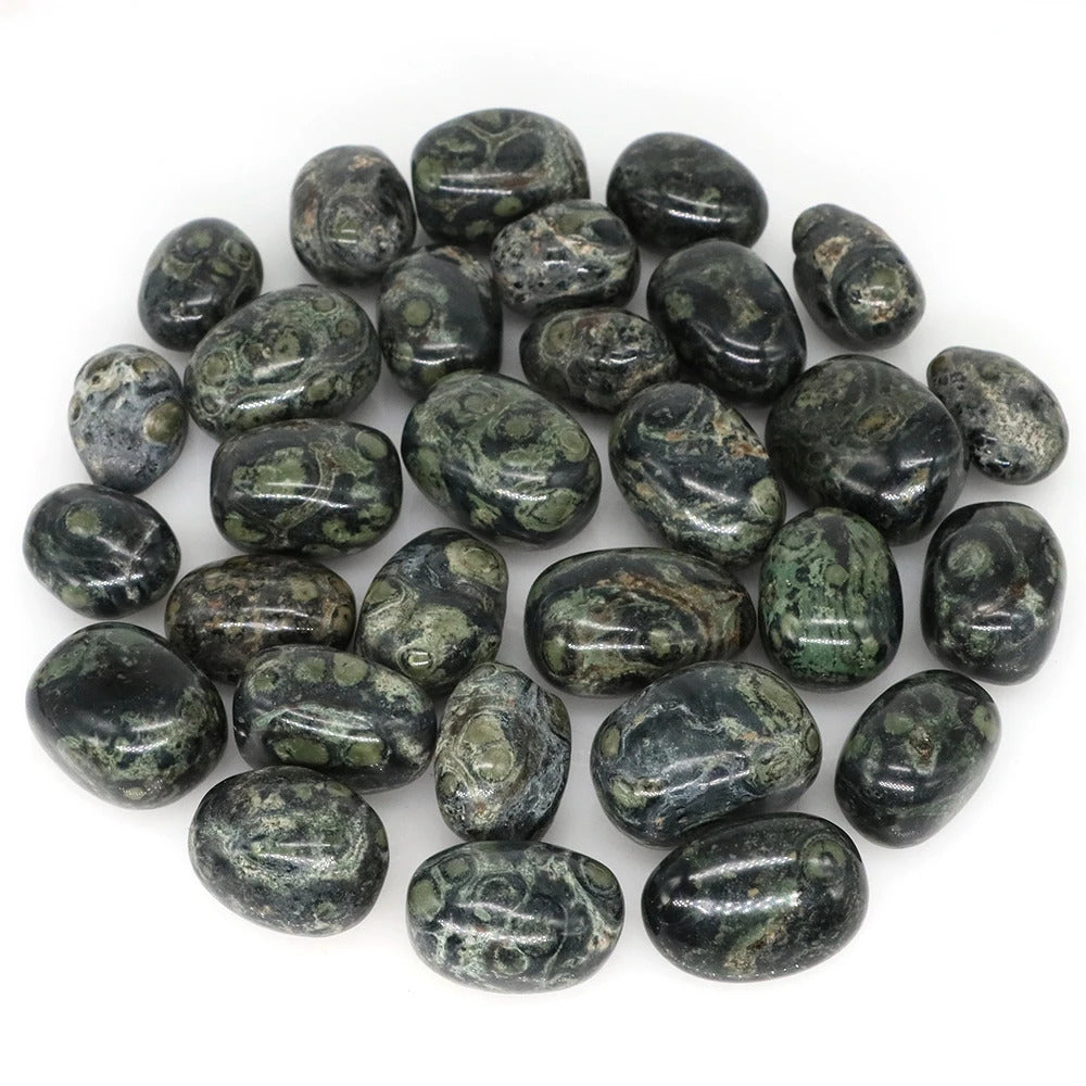 Kambaba Jasper Polished Tumblestone