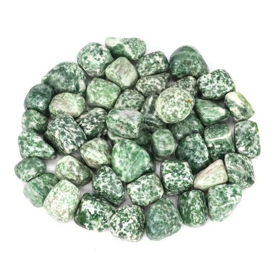 Green Spot Jasper Polished Tumblestone
