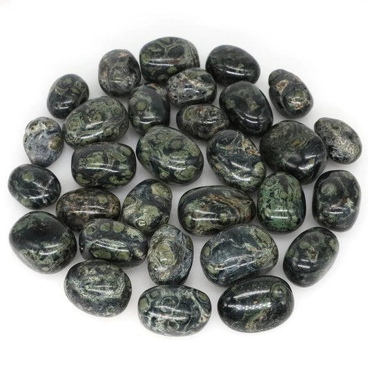Kambaba Jasper Polished Tumblestone