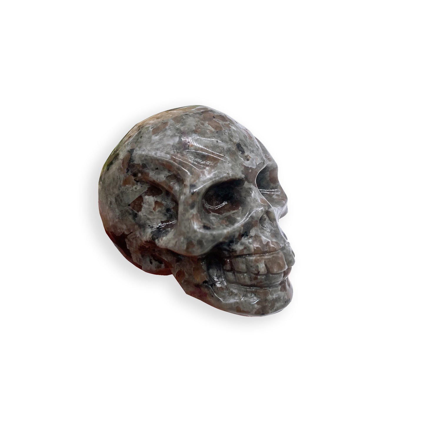 Yooperlite Skull